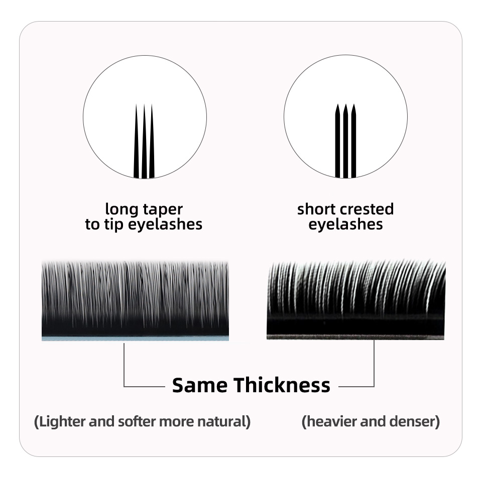 ขนตาปลอม AGUUD J B C D Curl Vo - Eyelash Extension Korea Natural บทวิจารณ์และราคา