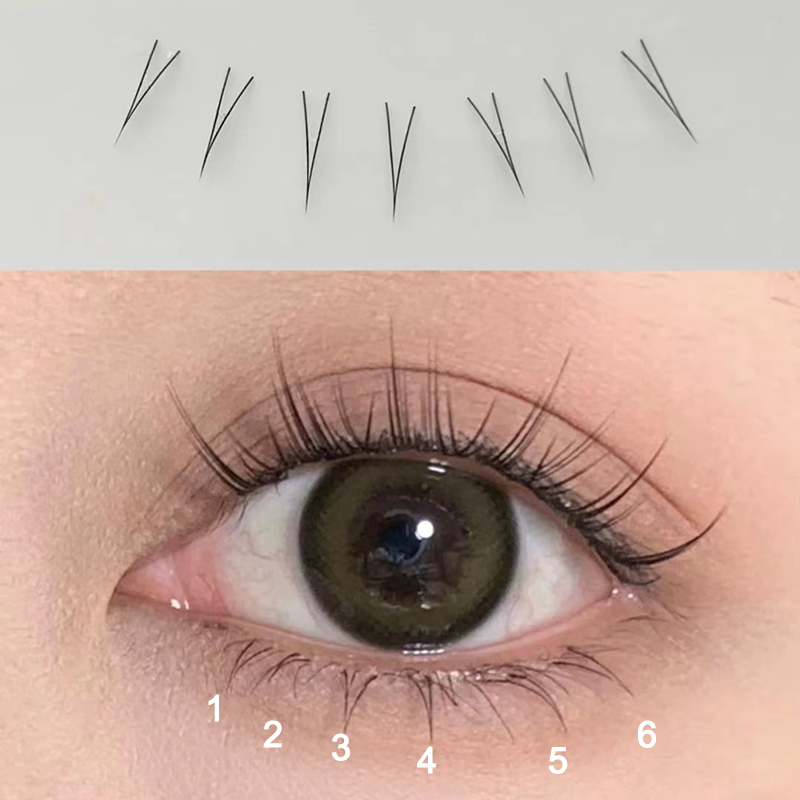 J Curl V รูปร่างภายใต้ขนตาการ์ - Eyelash Extension Korea บทวิจารณ์และราคา