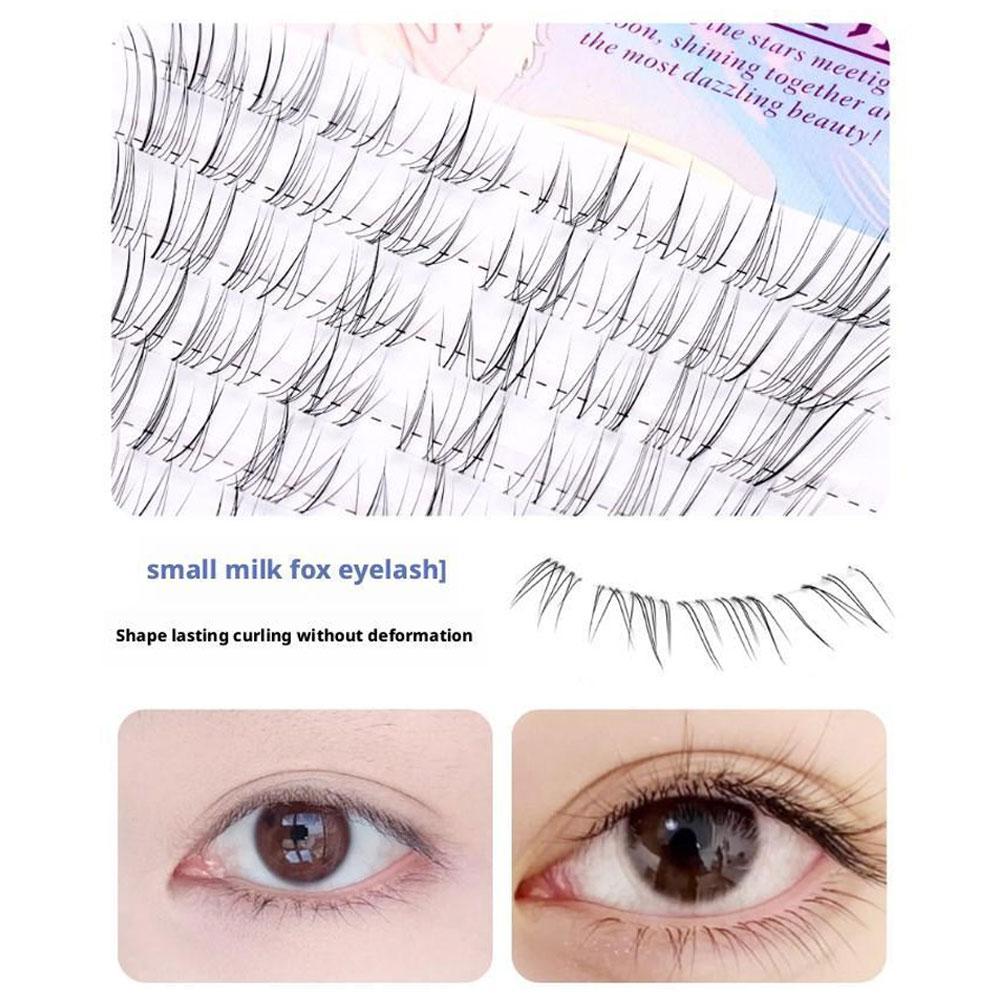 ขนตาปลอมซันฟลาวเวอร์สีน้ำตาลสไ - Eyelash Extension Douyin บทวิจารณ์และราคา